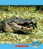 Timothy M. Daly - Alligators