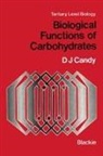 D J Candy, D. J. Candy - Biological Functions of Carbohydrates