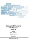 H M Fried, H. M. Fried, Berndt Muller - Vacuum Structure in Intense Fields