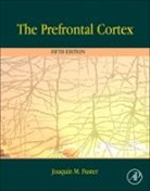 Joaquin Fuster, Fuster Joaquin - The Prefrontal Cortex