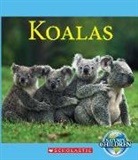 Josh Gregory - Koalas