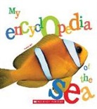 Patrick Louisy - My Encyclopedia of the Sea (My Encyclopedia)