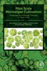 Faiz Ahmad Ansari, Faiz Ahmad/ Gupta Ansari, Faizal Bux, Bux Faizal, Faiz Ahmad Ansari, Sanjay Kumar Gupta... - Pilot Scale Microalgae Cultivation