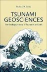 Pedro J M Costa, Pedro J. M. Costa, Pedro J.M. Costa - Tsunami Geosciences
