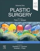 Geoffrey C Gurtner, Geoffrey C Gurtner, Peter C Neligan, Peter C. Neligan - Plastic Surgery