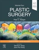 David H Song, Joon Pio Hong, Joon Pio Hong, Peter C Neligan, Peter C. Neligan, David H Song - Plastic Surgery