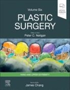 James Chang, Peter C Neligan, Peter C. Neligan - Plastic Surgery
