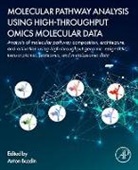 Anton Buzdin, Buzdin Anton - Molecular Pathway Analysis Using High-Throughput OMICS Molecular Data