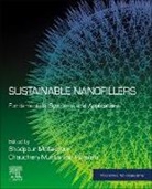 Shadpour Mallakpour, Chaudhery Mustansar Hussain - Sustainable Nanofillers