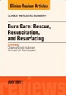 C Scott Hultman, C. Scott Hultman, Michael W Neumeister, Neumeister Michael W. - Burn Care: Rescue, Resuscitation, and Resurfacing, An Issue of Clinics in Plastic Surgery: Volume 44-3