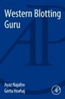 Gerta Hoxhaj, Hoxhaj Gerta, Ayaz Najafov, Najafov Ayaz - Western Blotting Guru