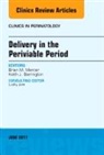 Keith J Barrington, Keith J. Barrington, Barrington Keith J., Brian Mercer, Mercer Brian - Delivery in the Periviable Period, An Issue of Clinics in Perinatology
