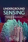 Liang Cheng, Cheng Liang, Sibel Pamukcu, Pamukcu Sibel - Underground Sensing