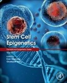 Stem Cell Epigenetics: Volume 17