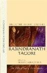 Rabindranath Tagore, Sukanta Chaudhuri, Sankha Ghosh - Rabindranath Tagore