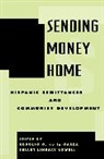 Rodolfo de la Garza, Rodolfo O de La Garza, Rodolfo O. de la Garza, Briant Lowell, Briant Lindsay Lowell, Lowell Briant Lindsay - Sending Money Home