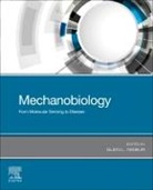 Glen L. Niebur, Glen L Niebur, Glen L. Niebur - Mechanobiology