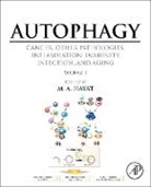 M A Hayat, M. A. Hayat, M. A. Hayat - Autophagy: Cancer, Other Pathologies, Inflammation, Immunity, Infection, and Aging. Vol.1