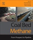 Kashy Aminian, Aminian Kashy, Steven J Schatzel, Steven J. Schatzel, Steven J. Schatzel, Pramod Thakur... - Coal Bed Methane