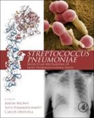 Jeremy Brown, Sven Hammerschmidt, Hammerschmidt Sven, Carlos Orihuela, Orihuela Carlos - Streptococcus Pneumoniae
