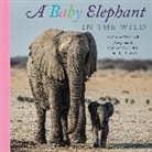 Caitlin O'Connell, Caitlin O'Connell, Timothy Rodwell - A Baby Elephant in the Wild