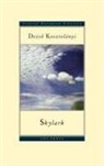 Dezso Kosztolanyi, Dezso Kosztolányi - Skylark
