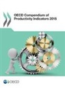 Oecd - OECD Compendium of Productivity Indicators 2015