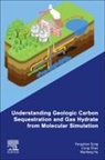 Cong Chen, Cong (Professor Chen, Wenfeng Hu, Wenfeng (Lecturer Hu, Yongchen Song, Yongchen (Professor Song - Understanding Geologic Carbon Sequestration and Gas Hydrate from Molecular Simulation