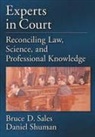 Bruce D. Shuman Sales, Bruce Dennis Sales, Daniel W. Shuman - Experts in Court