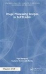 Gustavo Benvenutti Borba, Oge Marques, Oge (Florida Atlantic University Marques, Marques Oge - Image Processing Recipes in Matlab