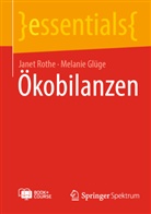 Melanie Glüge, Janet Rothe - Ökobilanzen, m. 1 Buch, m. 1 E-Book