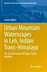 Judith Müller - Urban Mountain Waterscapes in Leh, Indian Trans-Himalaya