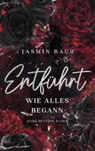 Jasmin Baur - Entführt