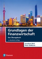 Jonathan Berk, Peter DeMarzo - Grundlagen der Finanzwirtschaft
