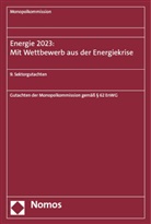 Monopolkommission - Energie 2023: Mit Wettbewerb aus der Energiekrise