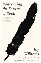 Joy Williams - Concerning the Future of Souls