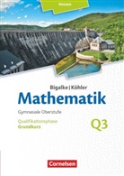 Anton Bigalke, Anton Bigalke, Gabriele Ledworuski, Horst Kuschnerow, Norbert Köhler, Horst Kuschnerow... - Bigalke/Köhler: Mathematik - Hessen - Ausgabe 2016 - Grundkurs 3. Halbjahr
