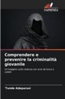 'Tunde Adeparusi - Comprendere e prevenire la criminalità giovanile