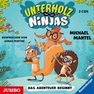 Michael Mantel, Jonas Minthe - Unterholz-Ninjas. Das Abenteuer beginnt, 2 Audio-CD (Hörbuch)