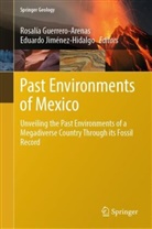 Rosalía Guerrero-Arenas, Jiménez-Hidalgo, Eduardo Jiménez-Hidalgo - Past Environments of Mexico