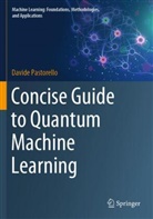 Davide Pastorello - Concise Guide to Quantum Machine Learning
