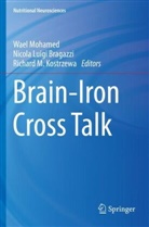 Nicola Luigi Brogazzi, Richard M Kostrzewa, Richard M. Kostrzewa, Nicola Luigi Brogazzi, Richard M Kostrzewa, Wael Mohamed - Brain-Iron Cross Talk