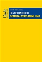 Georg Jeremias, Helmut Schmidt, Florian Thelen - Praxishandbuch Generalversammlung