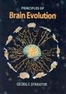 Georg F. Striedter - Brain Evolution