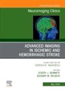 Joseph J Gemmete, Joseph J. (Clinical Professor Gemmete, Gemmete Joseph J. - Advanced Imaging in Ischemic and Hemorrhagic Stroke, An Issue of Neuroimaging Clinics of North America: Volume 34-2