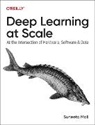 Suneeta Mall - Deep Learning at Scale