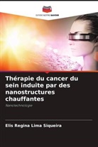 Elis Regina Lima Siqueira - Thérapie du cancer du sein induite par des nanostructures chauffantes