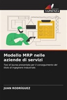 Juan Rodríguez - Modello MRP nelle aziende di servizi