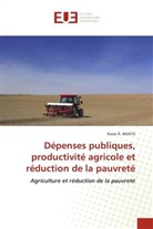 Kossi A. Anata - Dépenses publiques, productivité agricole et réduction de la pauvreté