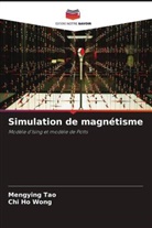 Mengying Tao, Chi Ho Wong - Simulation de magnétisme